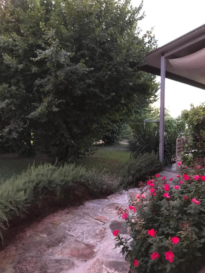 Ca' Borgo Delle Rane Otel Pernumia Dış mekan fotoğraf